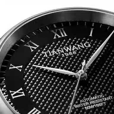 TIANWANG GS51318
