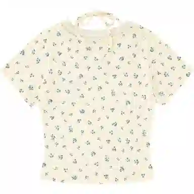 FOASIS T