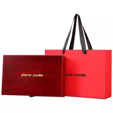 Pierre Cardin