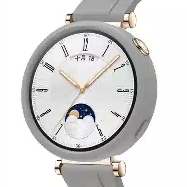 Antey gt4WATCH GT441mm