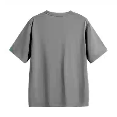 HIPANDA T