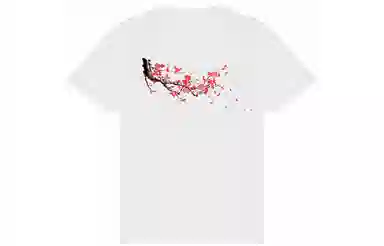 New Balance T