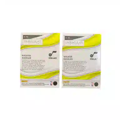 PANINI 2022-23 0599BASE+2399