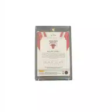 PANINI 2022-23 Imm 0925 patch RC