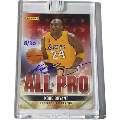 PANINI 201516 Replay 0830