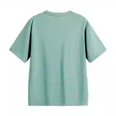HIPANDA T