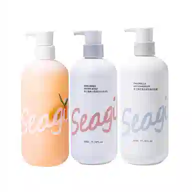 SEAGILON 520ml*2