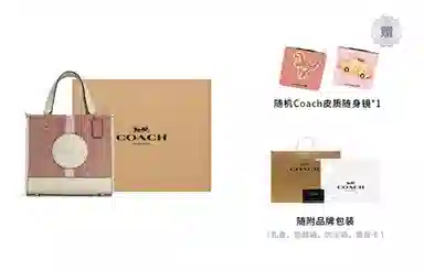 COACH Dempsey 22 Tote