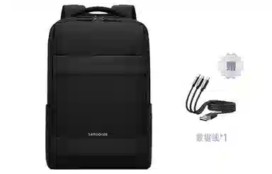 Samsonite Backpack
