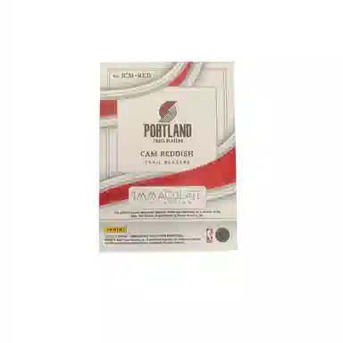 PANINI 2022-23 Panini Imm patch 0825