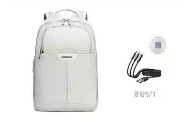 Samsonite Backpack Light Grey