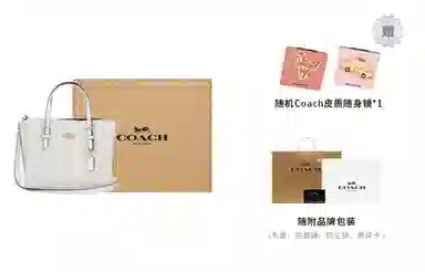 COACH Mollie 25 Tote