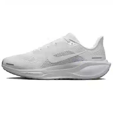 Nike Pegasus 41 White