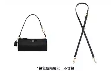 coach nolita 20