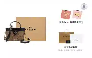 COACH Kay 20 Box Bag Small Black Brown Logo