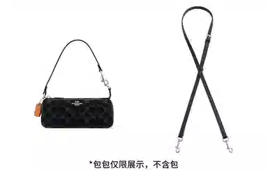 coach nolita 20