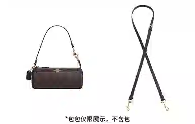 coach nolita 20