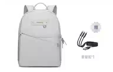 Samsonite Nylon Backpack Grey