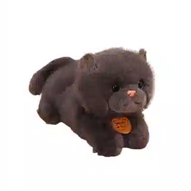 Brangdy 35cm
