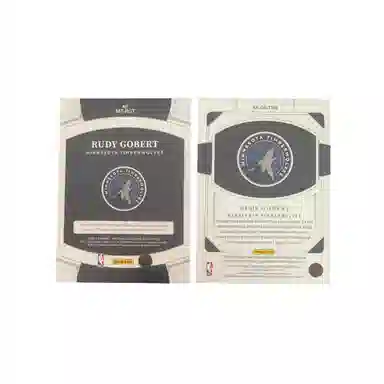 PANINI 2022-231125 patch+7399