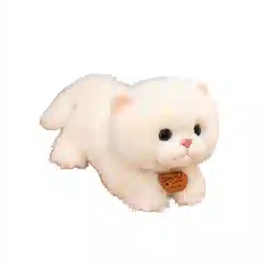Brangdy 35cm