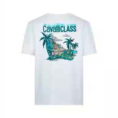 Cavalli Class T