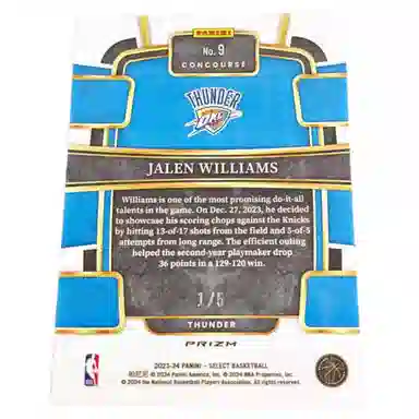 PANINI 2023-24 select 15