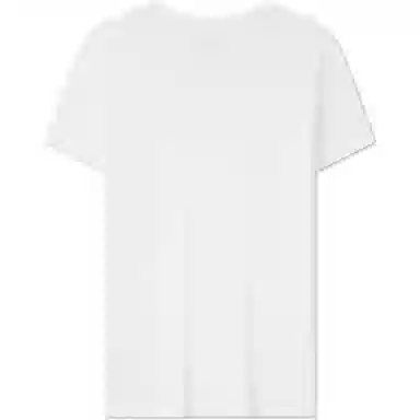 Tommy Hilfiger T