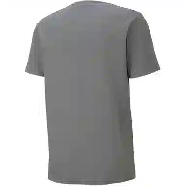 PUMA TEAMGOAL23 logoT