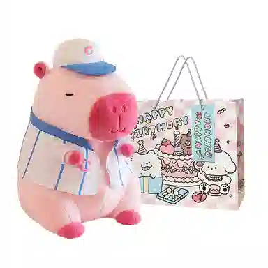 22cm35cm45cm55cm68cm