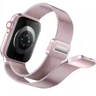 Akkerds Milanese Loop Band