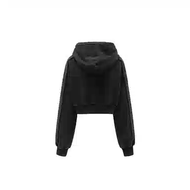 Feng Chen Wang x D.Desirable