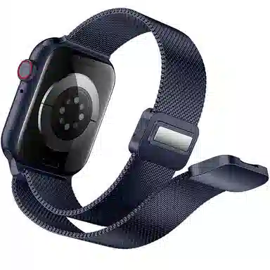 Akkerds Milanese Loop Band