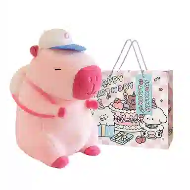 22cm35cm45cm55cm68cm