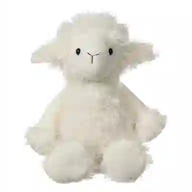 APRICOT LAMB 18cm