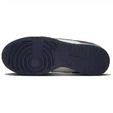 Nike Dunk Low Next Nature Blue White