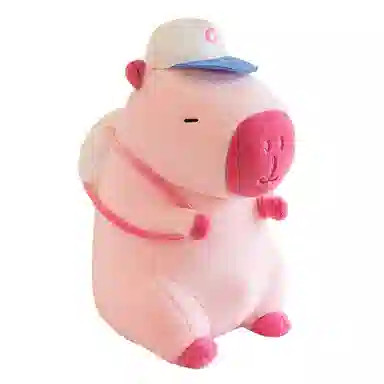 22cm35cm45cm55cm68cm