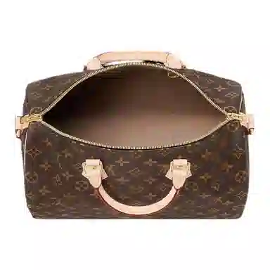 Louis Vuitton Speedy Bandoulière 35 Monogram