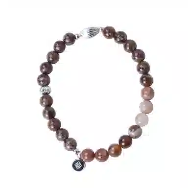 FOUNDIN Vtg Silicified Wood