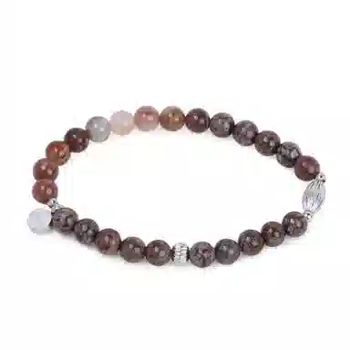 FOUNDIN Vtg Silicified Wood