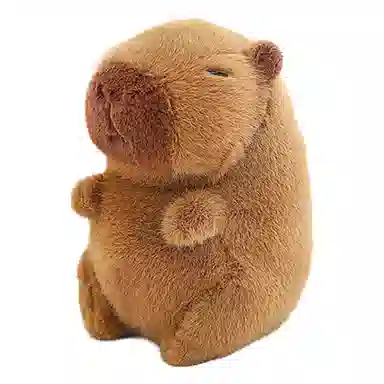 JIN-NEW 20cm