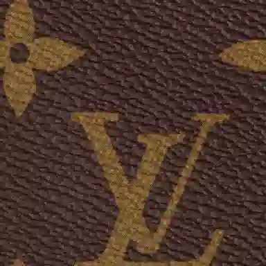 Louis Vuitton Speedy Bandoulière 35 Monogram