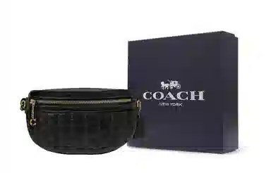 COACH Chain 22