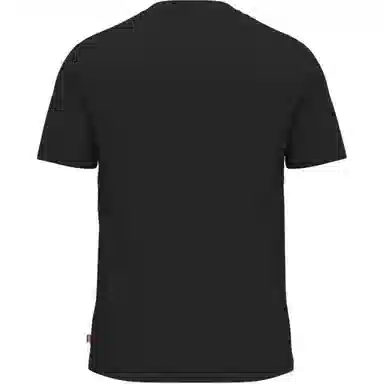 levis T