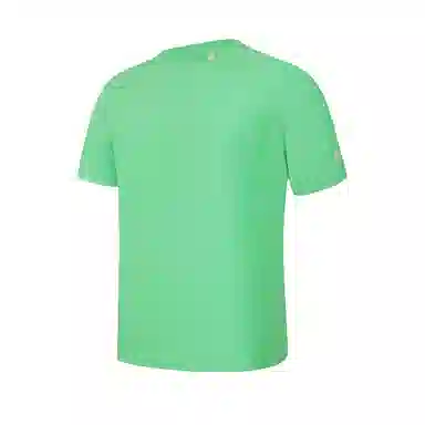 FILA T
