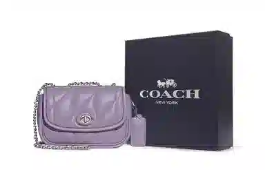 COACH Pillow 20