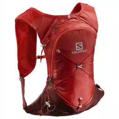SALOMON XT 6L GOJI BERRY