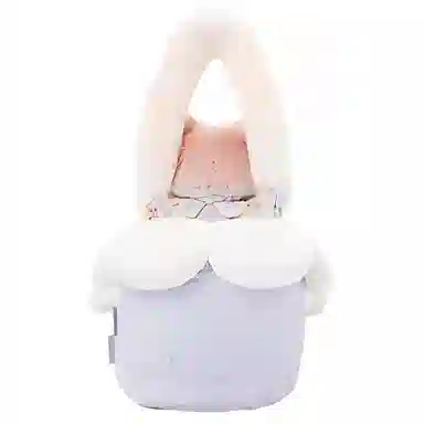 Disney Duffy and Friends Bag