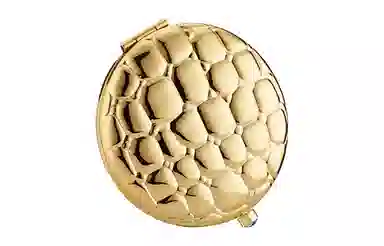 雅诗兰黛 金色鳄鱼纤薄 粉饼盒