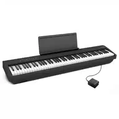 Roland () FP-30X